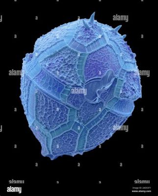  Peridinium: Bir Fotosentez Ustası Olarak Tek Hücreli Evren!